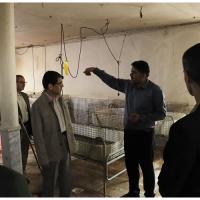 بازدید میدانی رئیس و اعضای شورای دانشگاه فردوسی مشهد از ایستگاه تحقیقاتی دام و طیور وابسته به دانشکده کشاورزی